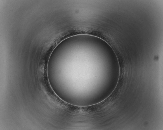 X0000112890739200908281700