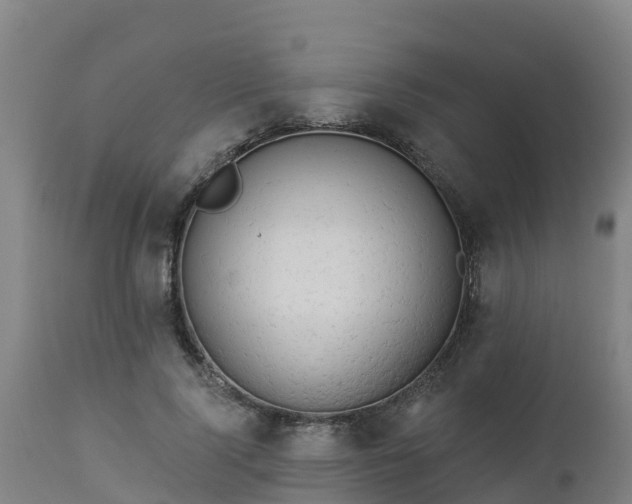 X0000112890740200908281700
