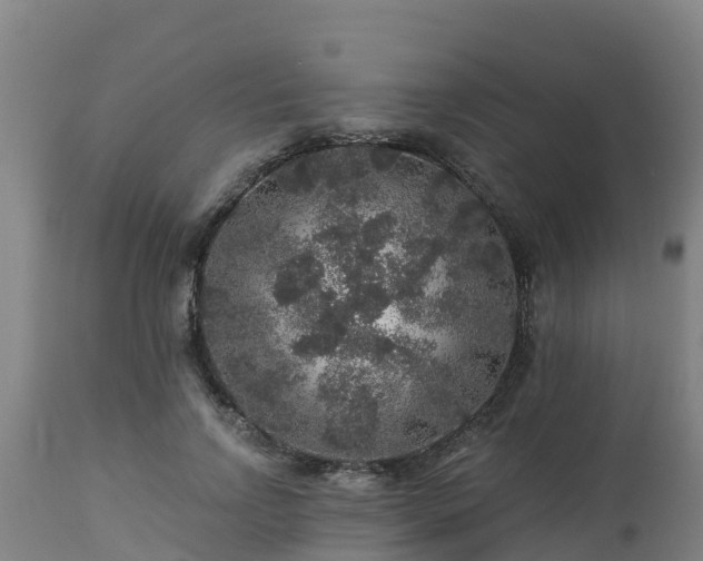 X0000112890742200908281700