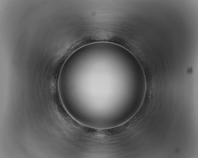 X0000112890743200908281700