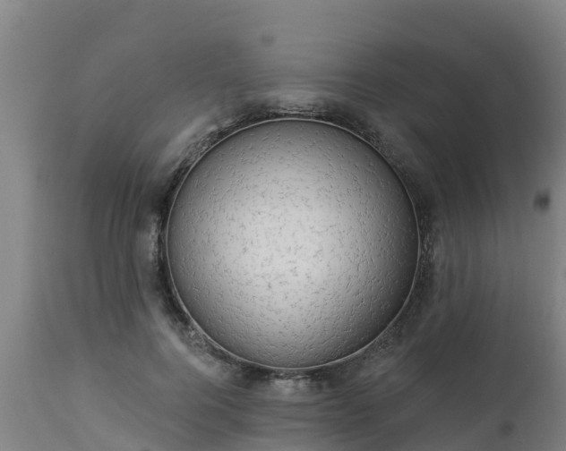 X0000112890744200908281700