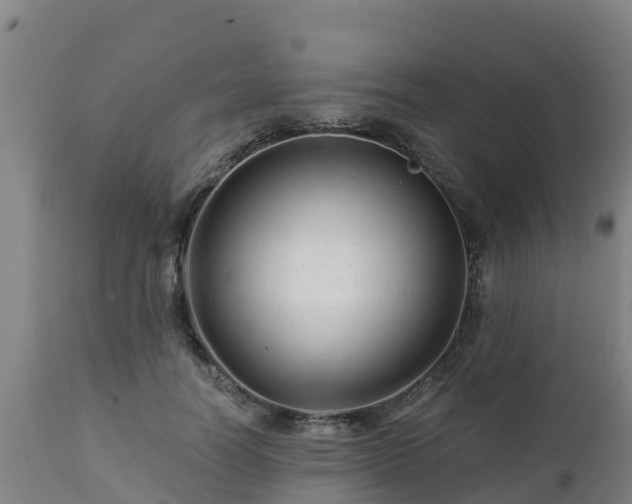 X0000112890746200908281700