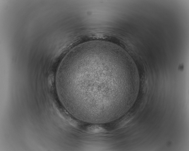 X0000112890747200908281700