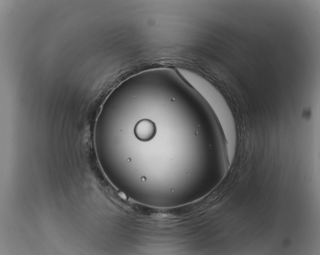 X0000112890748200908281700