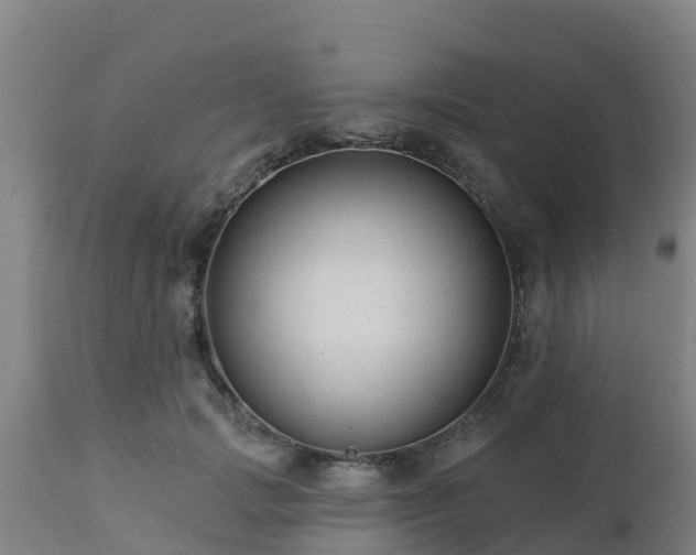 X0000112890749200908281700