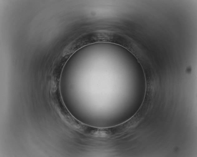 X0000112890751200908281700
