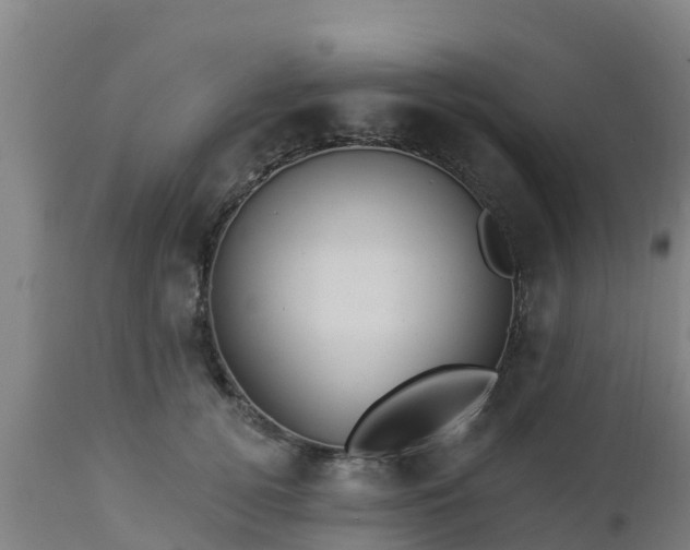 X0000112890752200908281700