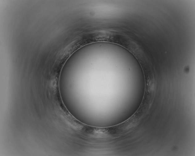 X0000112890753200908281700