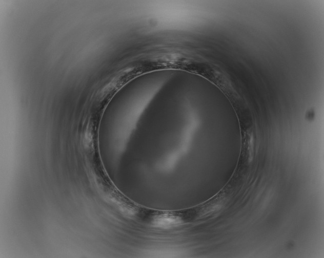 X0000112890754200908281700