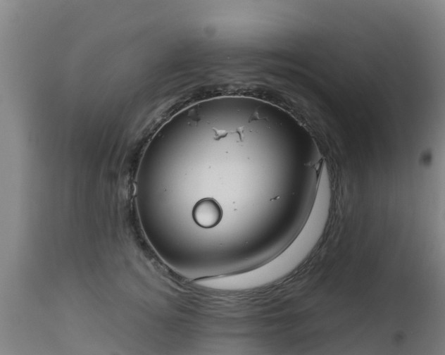 X0000112890756200908281700