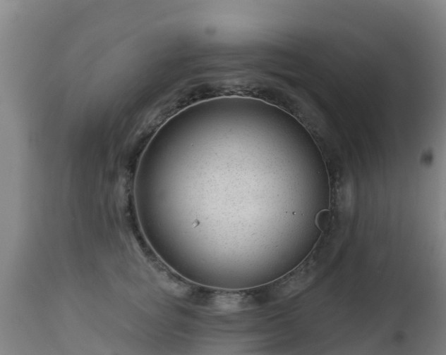 X0000112890757200908281700