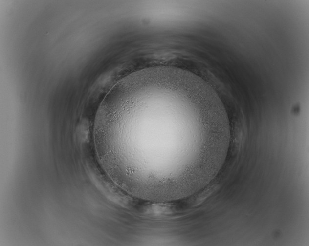 X0000112890758200908281700