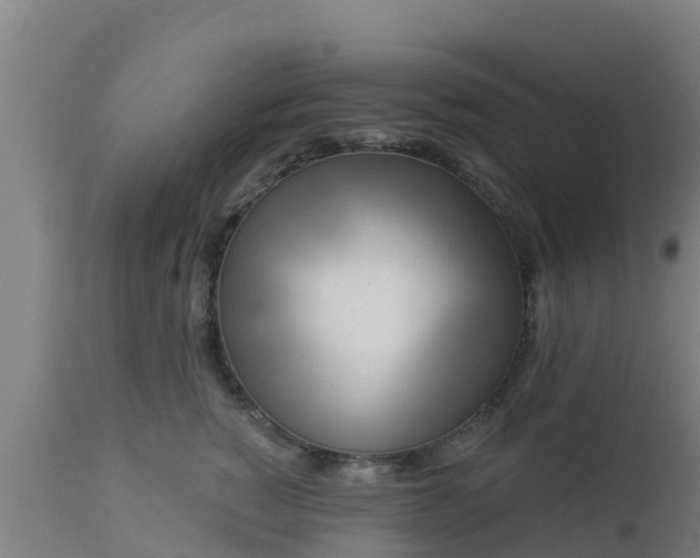 X0000112890760200908281700