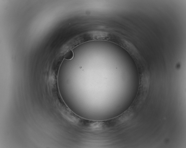 X0000112890761200908281700