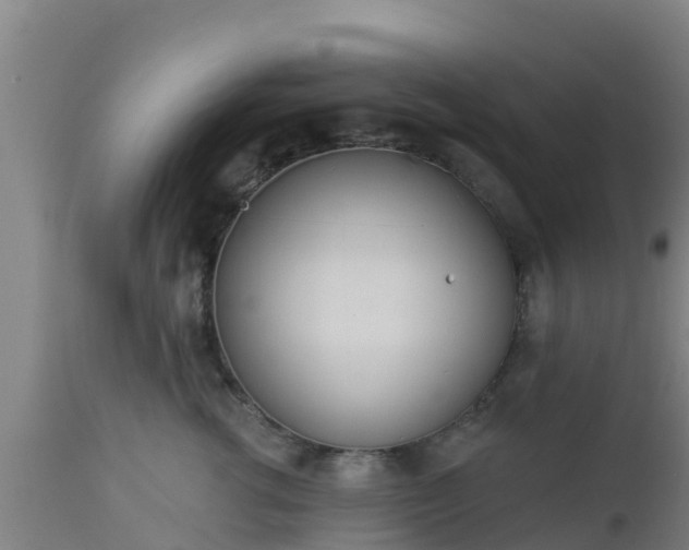 X0000112890762200908281700