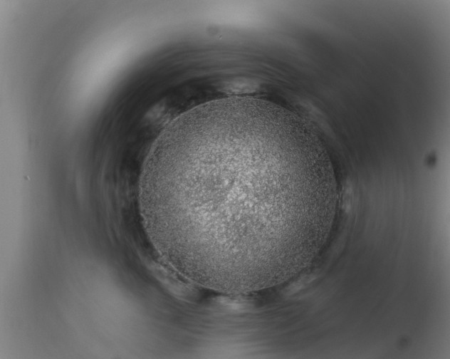 X0000112890763200908281700