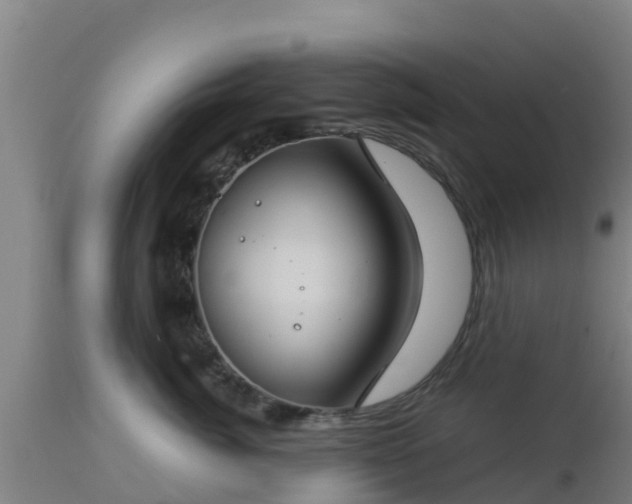 X0000112890764200908281700