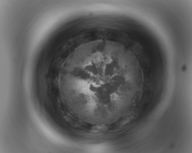 X0000112890765200908281700