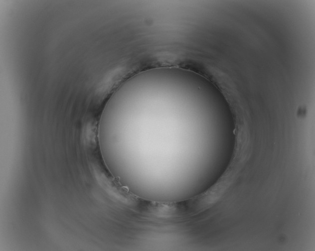 X0000112890768200908281700