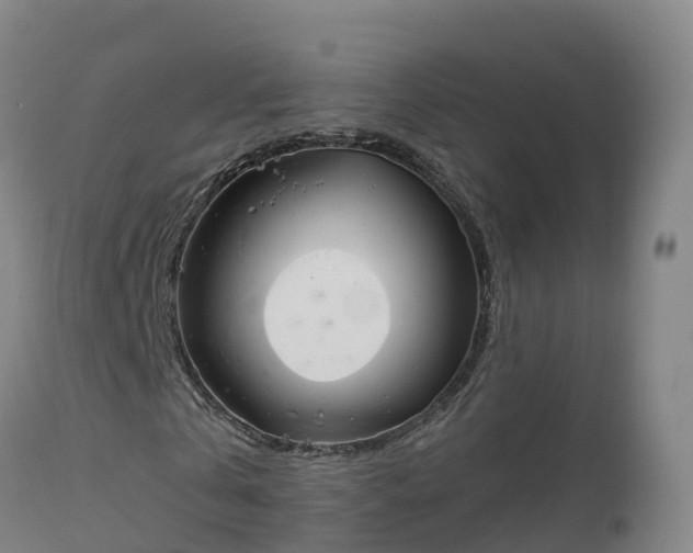 X0000112890769200908281700
