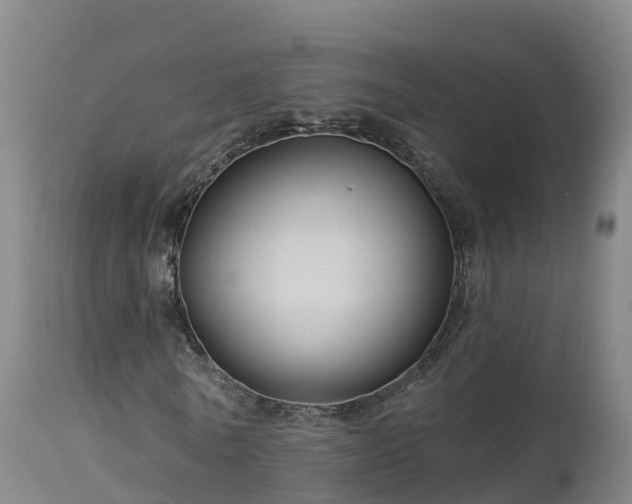X0000112890770200908281700