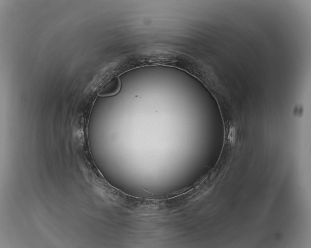 X0000112890771200908281700