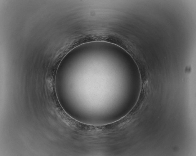 X0000112890772200908281700