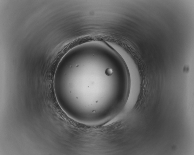 X0000112890773200908281700