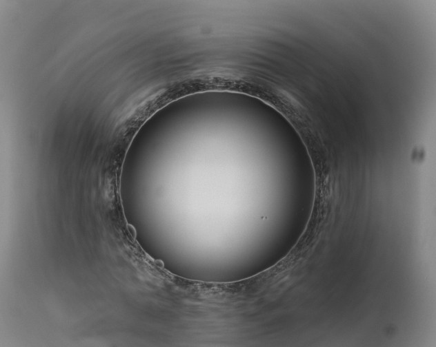 X0000112890774200908281700