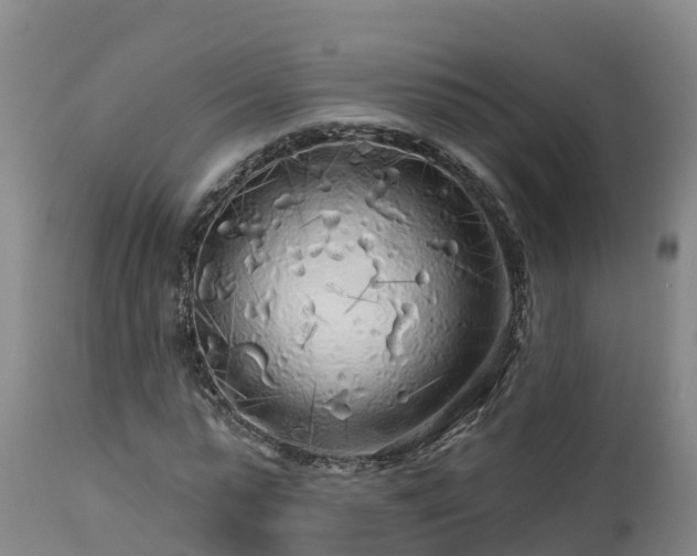 X0000112890775200908281700