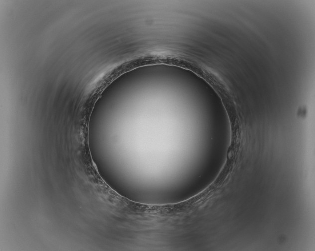 X0000112890776200908281700