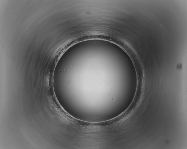 X0000112890777200908281700