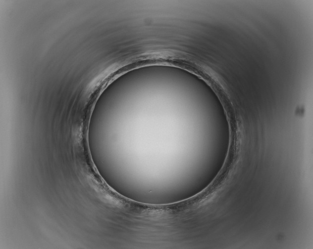 X0000112890778200908281700
