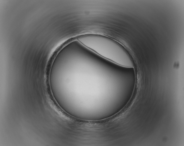 X0000112890780200908281700