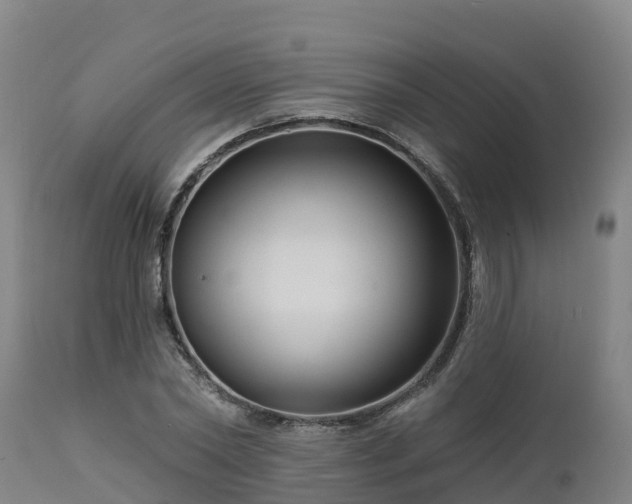 X0000112890782200908281659