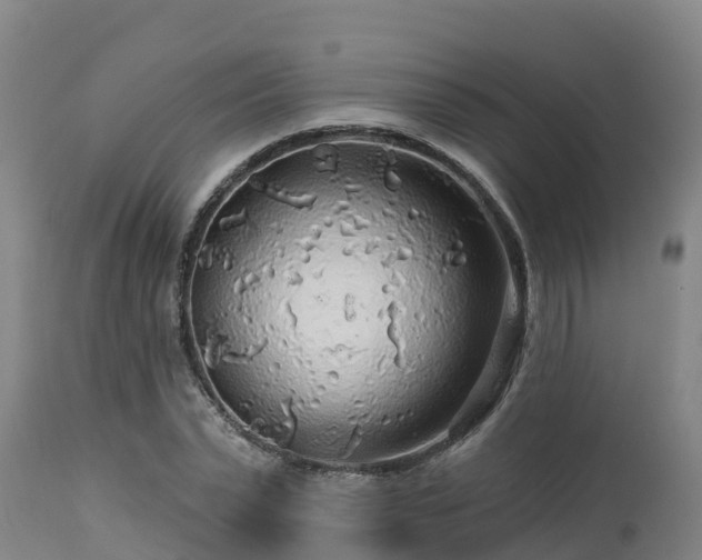 X0000112890783200908281659