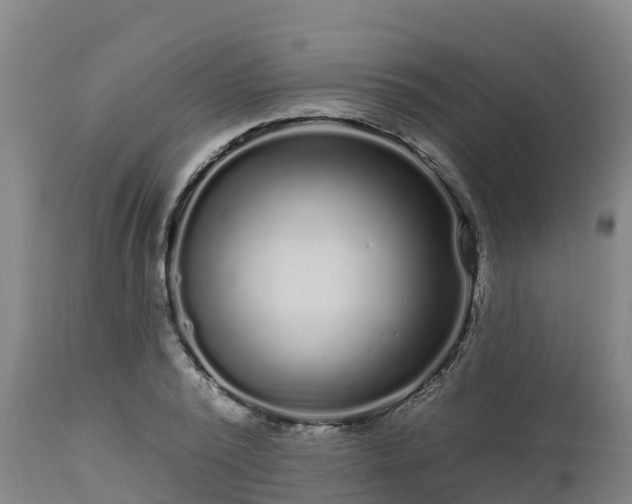 X0000112890784200908281659