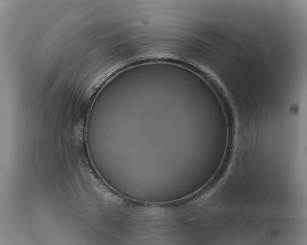 X0000112890785200908281659