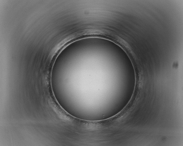 X0000112890786200908281659
