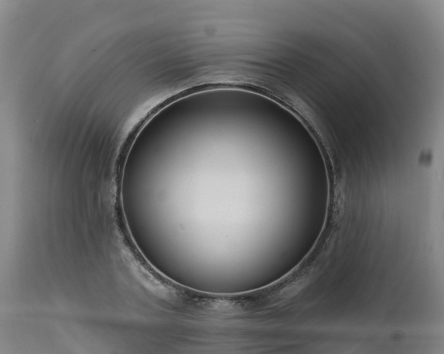 X0000112890787200908281659