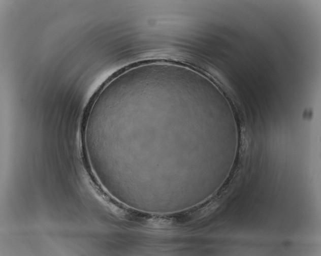 X0000112890788200908281659