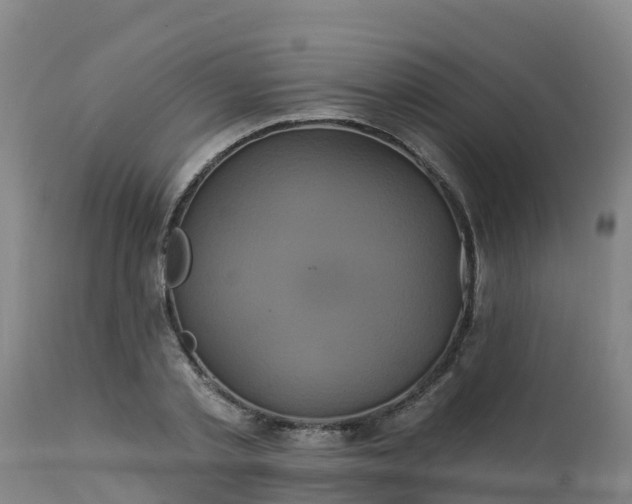 X0000112890789200908281659