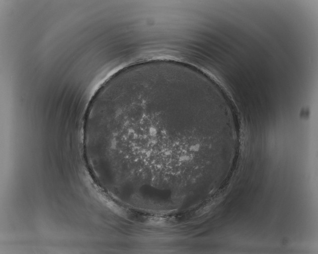 X0000112890790200908281659
