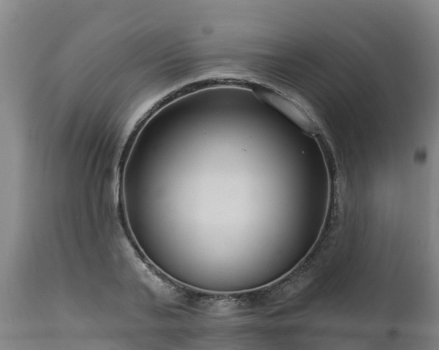 X0000112890791200908281659