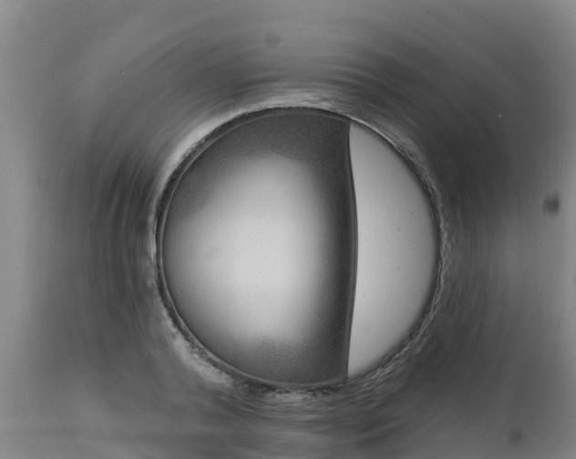 X0000112890792200908281659