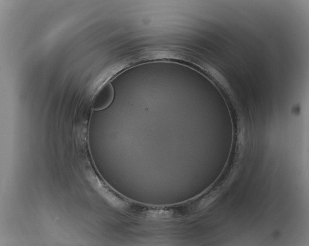 X0000112890793200908281659