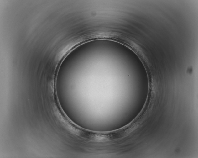 X0000112890794200908281659