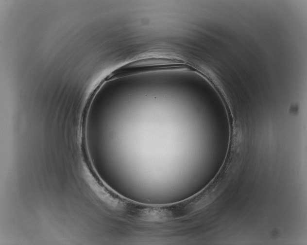 X0000112890795200908281659