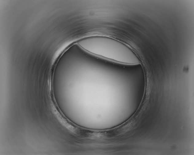 X0000112890796200908281659