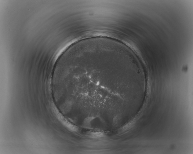 X0000112890798200908281659